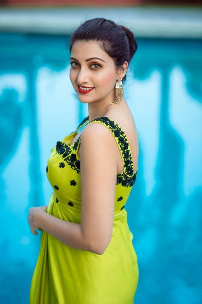 Hamsa-Nandini